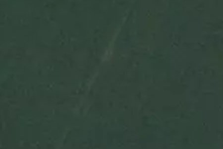 708 One Tree Point Road_0