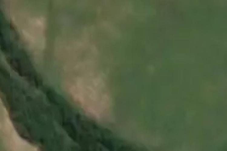 86 Ferguson Street_0