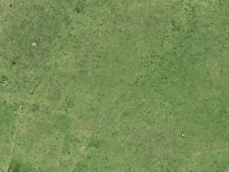 204a Waitakere Road_0