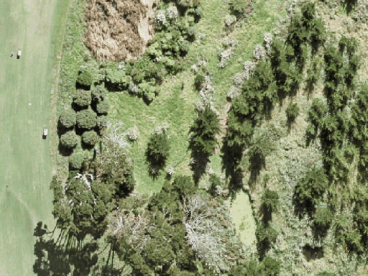 38 Whakairo Crescent_0