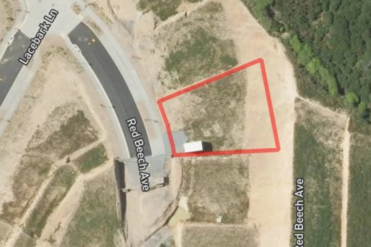 43 Red Beech Avenue_0