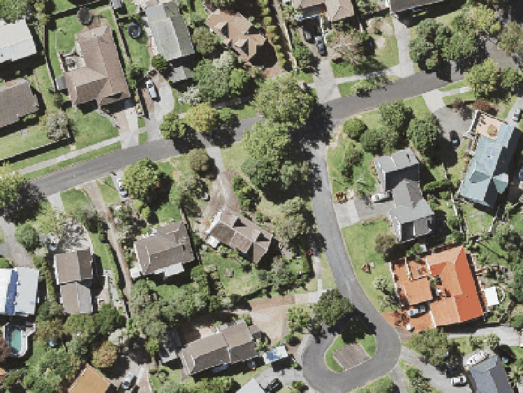 1/1 Photinia Place_0