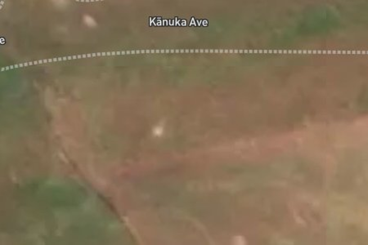 13 Kanuka Avenue_0