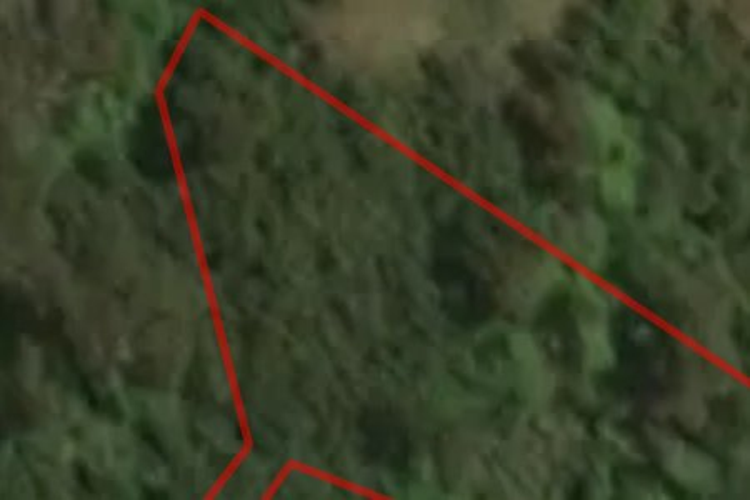 2677 Kaiuma Bay Road_0