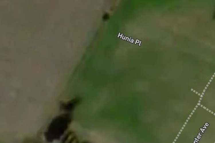 3 Hunia Place_0