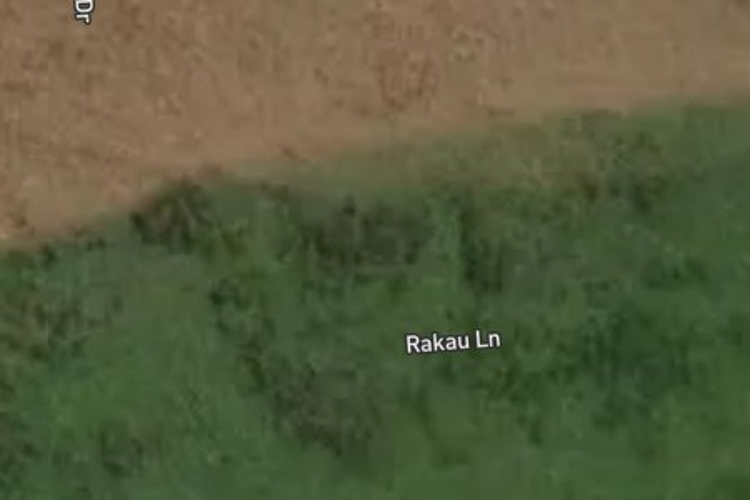 3 Rakau Lane_0