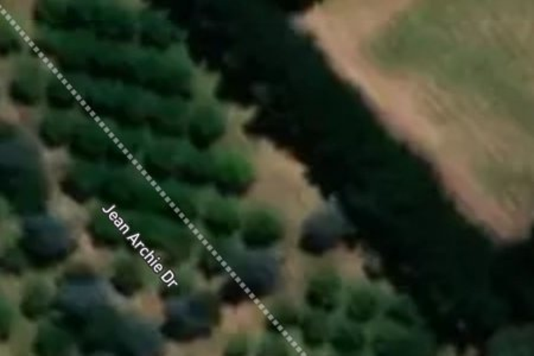 95 Jean Archie Drive_0