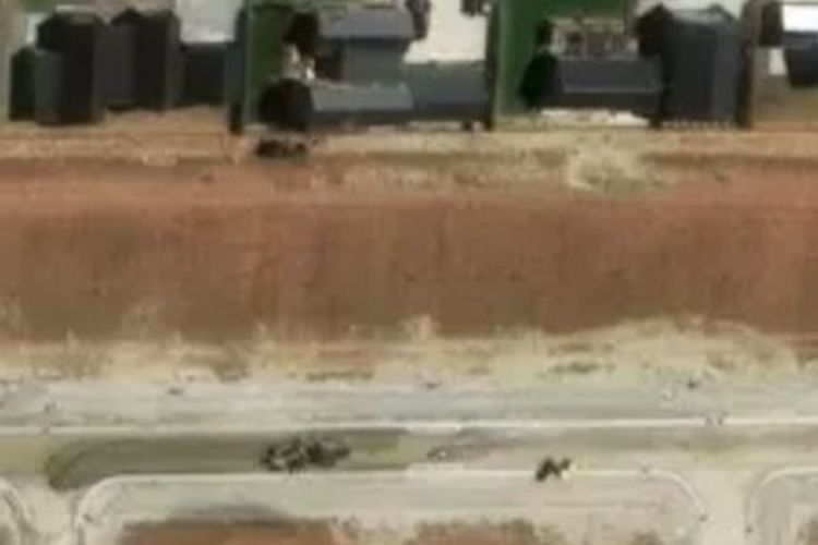 32 Callaghans Creek Rise_0