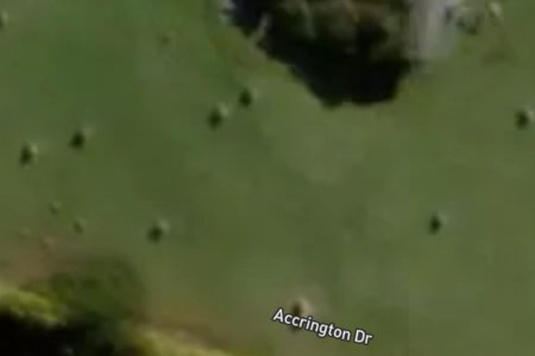 22 Accrington Drive_0