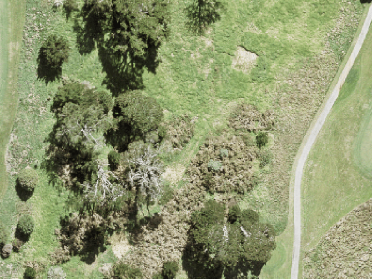 57 Ta Moko Drive_0