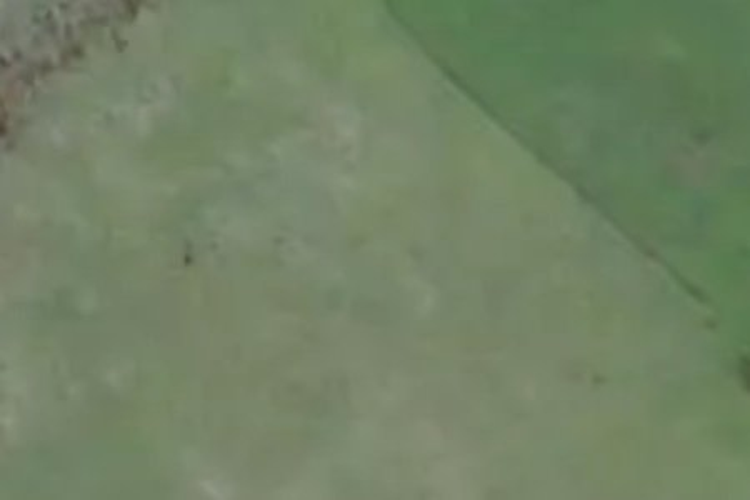 Waimate North Road_0