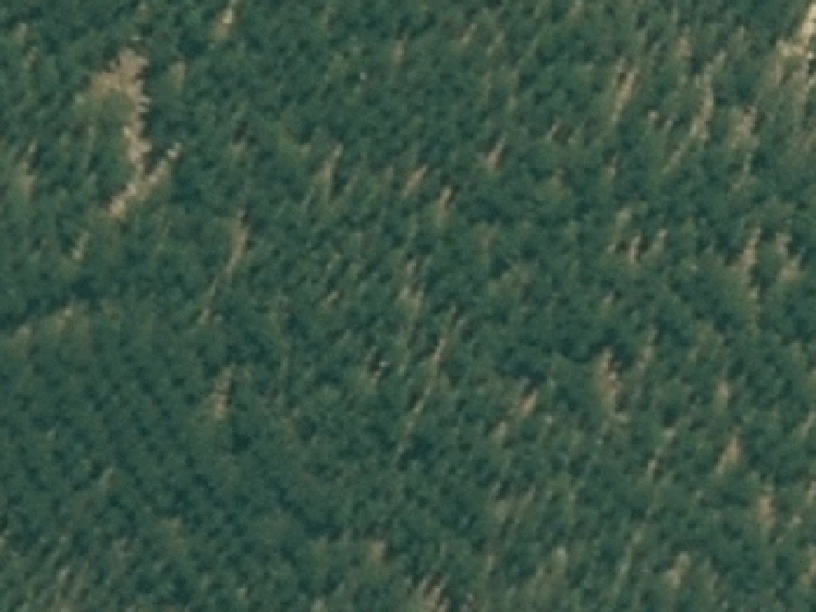 5 Te Ara Whenua Miharo Kotiti_0