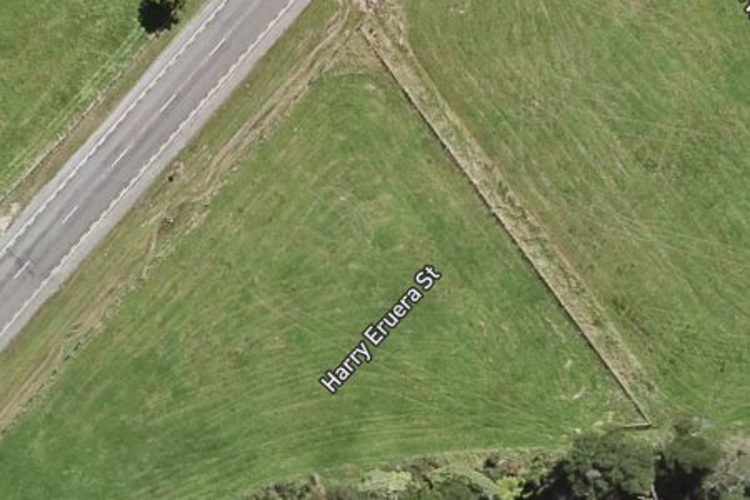 12 Harry Eruera Street_0