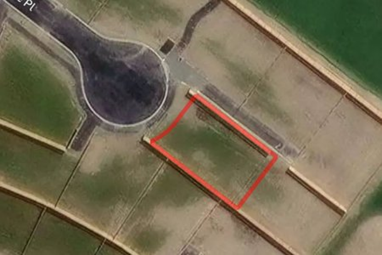 14 Springville Place_0