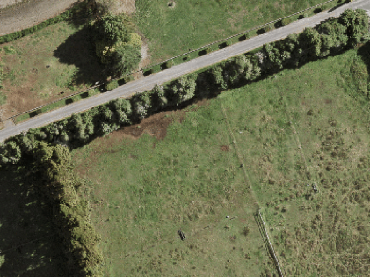 36 Paapaakiri Loop_0