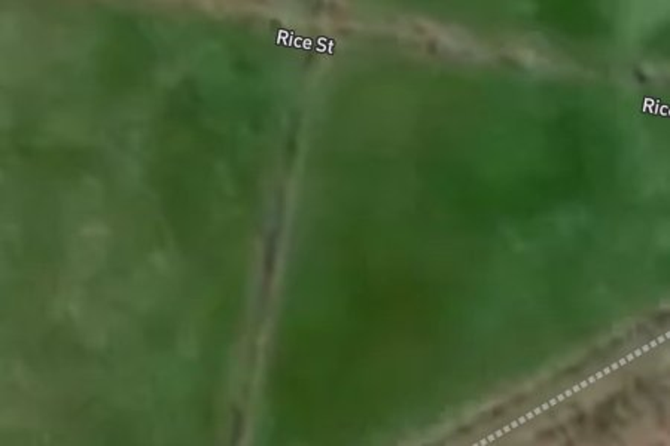 14 Rice Street_0