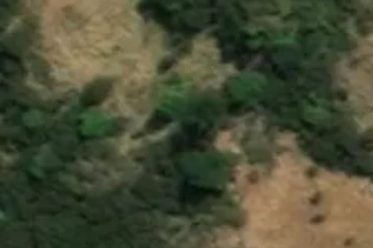 Mangapurupuru Road_0