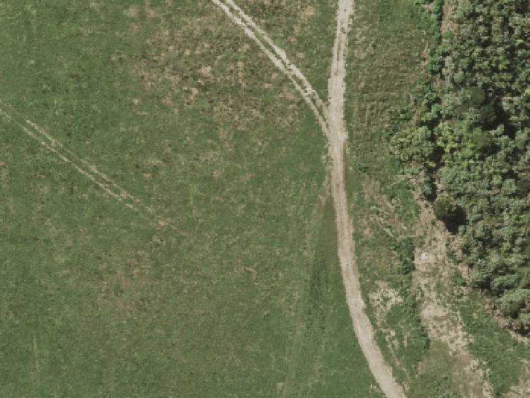 14 Koura Road_0