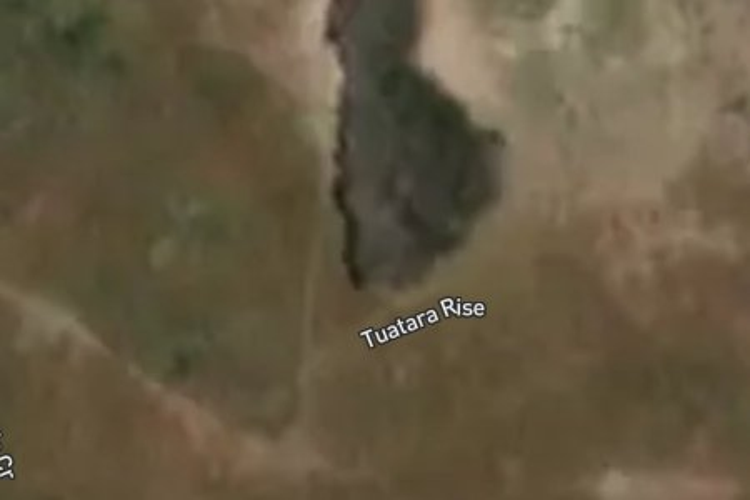 3 Tuatara Rise_0