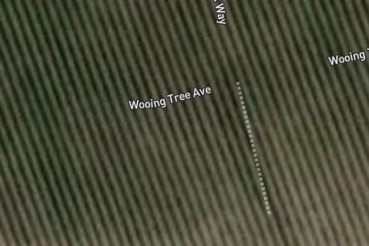 11 Wooing Tree Avenue_0